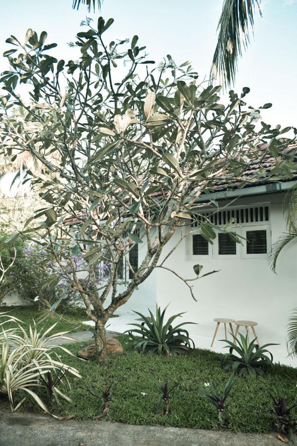 Casa Gitano Hotel Ahangama Exterior foto